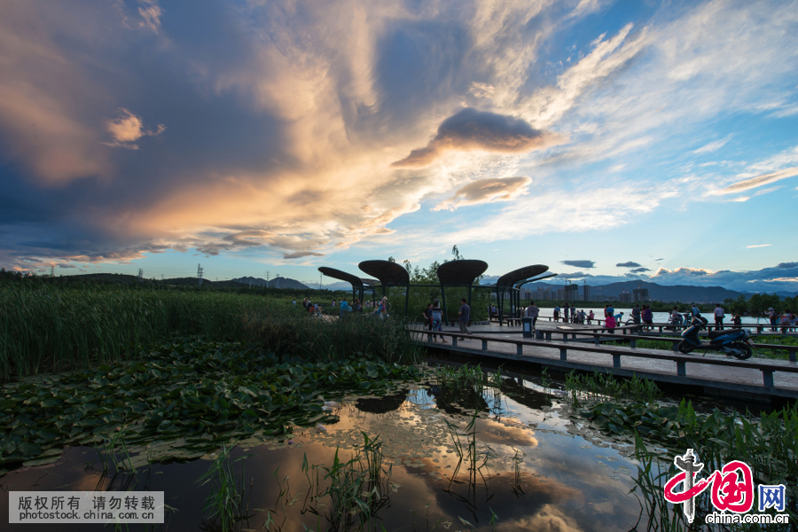 6月12日傍晚，在北京莲石湖畔上空，优美的蓝天白云，构成一幅漂亮画卷。中国网图片库 宋云龙摄