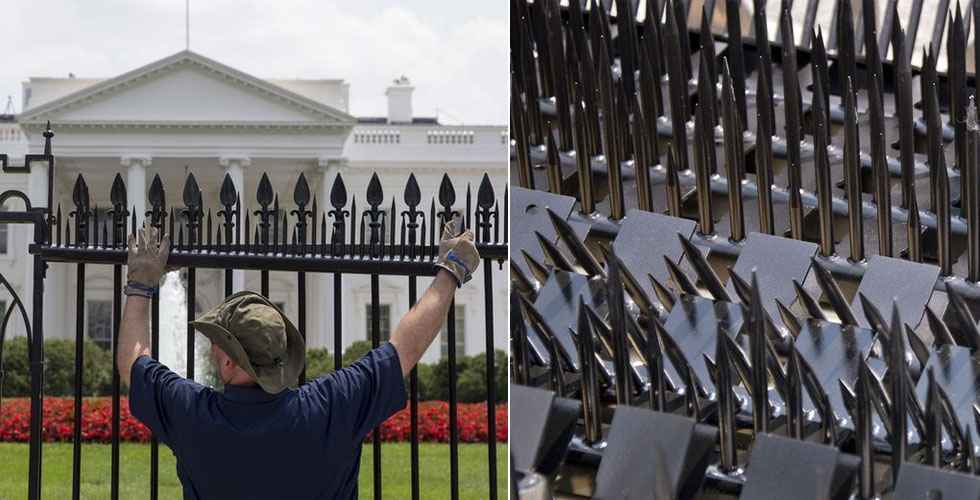 白宫安保升级 围栏加装铁钉防翻闯