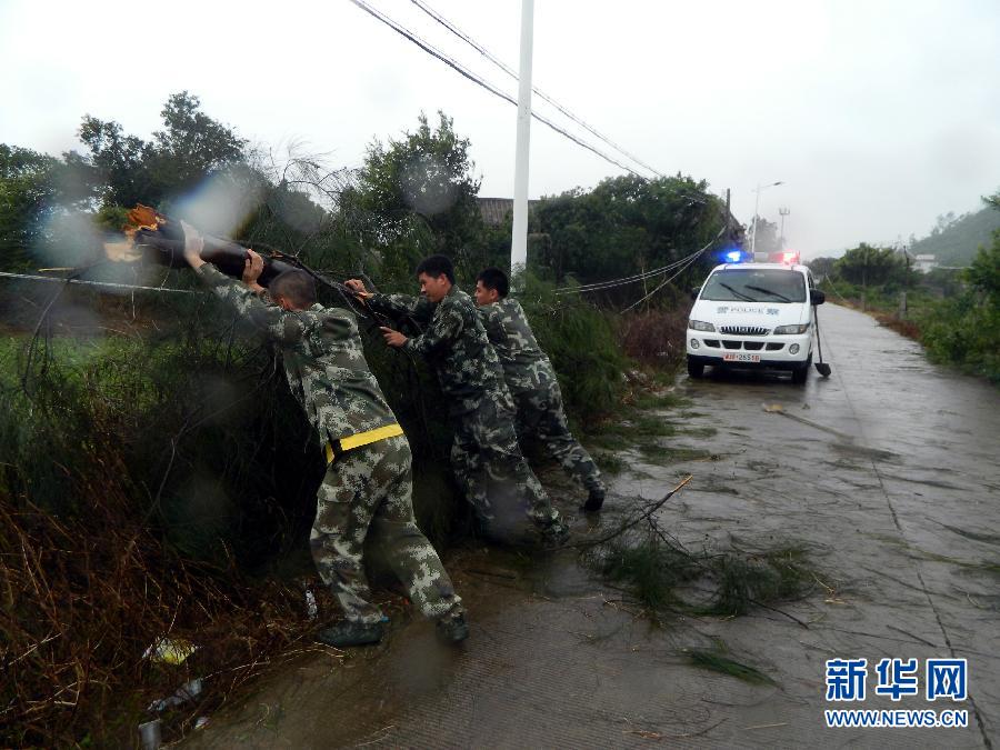（生態）（3）颱風“蓮花”登陸致粵東多地倒樹積水 