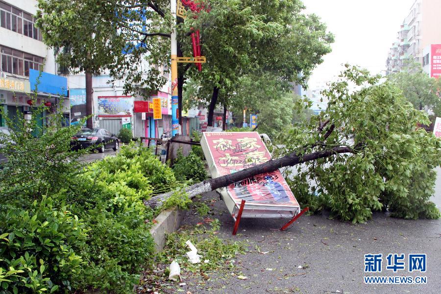 （生態）（2）颱風“蓮花”登陸致粵東多地倒樹積水 