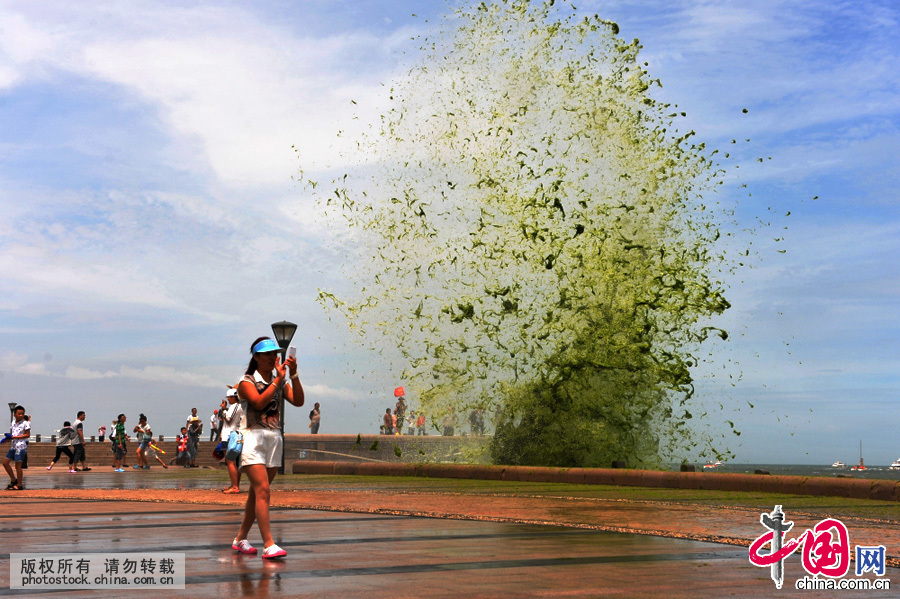 2015年7月11日，山東省日照市燈塔風景區，颱風“燦鴻”裹挾滸苔，掀起巨浪。中國網圖片庫 張磊攝