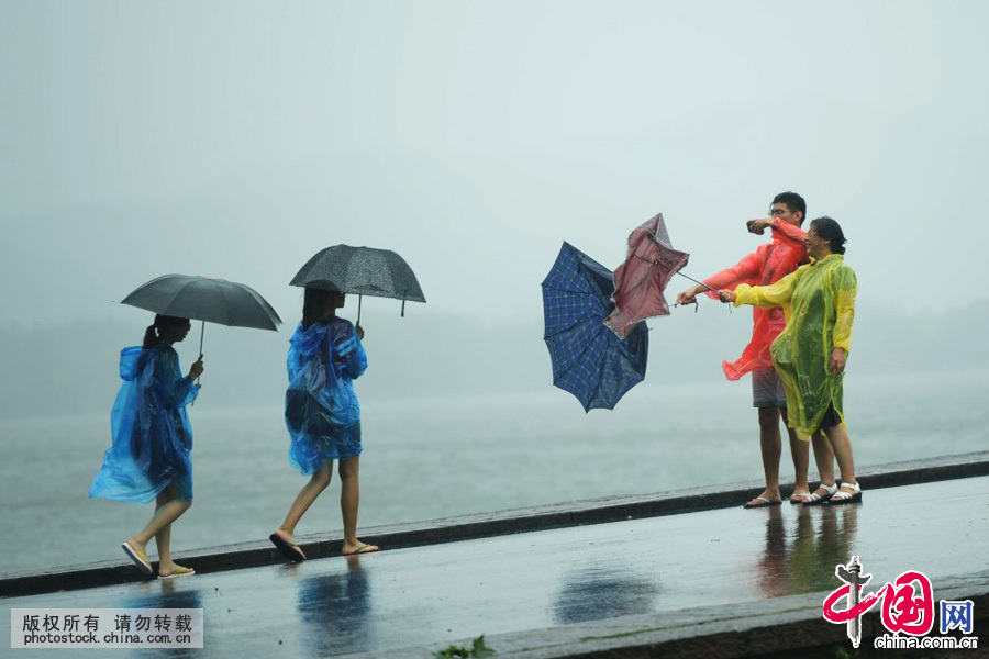 2015年7月11日，浙江省杭州市，游客在杭州西湖断桥上拍摄被台风“灿鸿”吹坏的雨伞。中国网图片库 龙巍摄