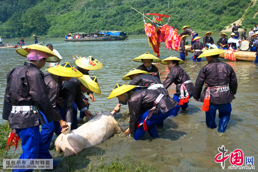 水手们把姑妈送来的肥“赶”搬上龙舟。中国网图片库 尹忠摄