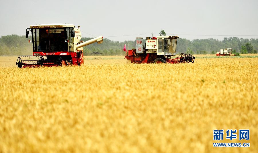 （经济）（1）2015年全国夏粮总产14106.6万吨