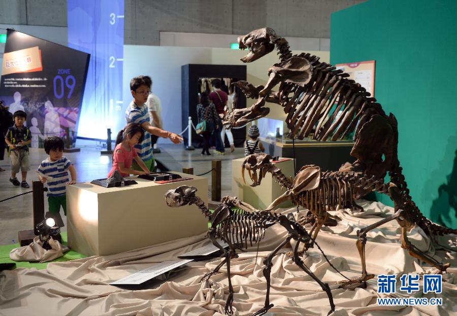 （國際）（2）“2015恐龍展——逼近巨大之謎”在日本開幕