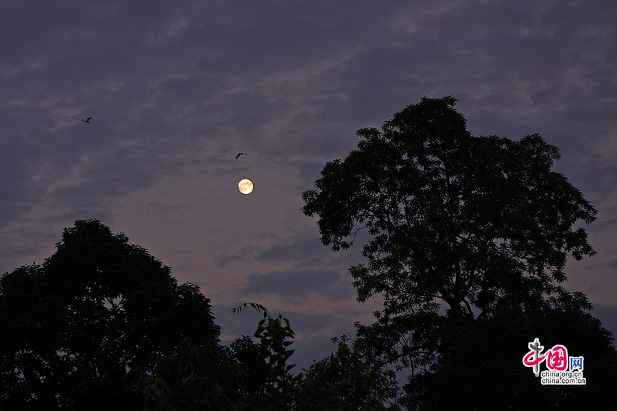 费瓦湖畔的飞鸟与月色