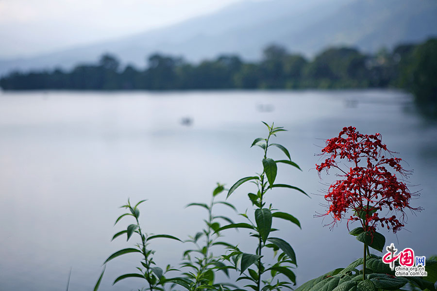 花開不敗的山莊