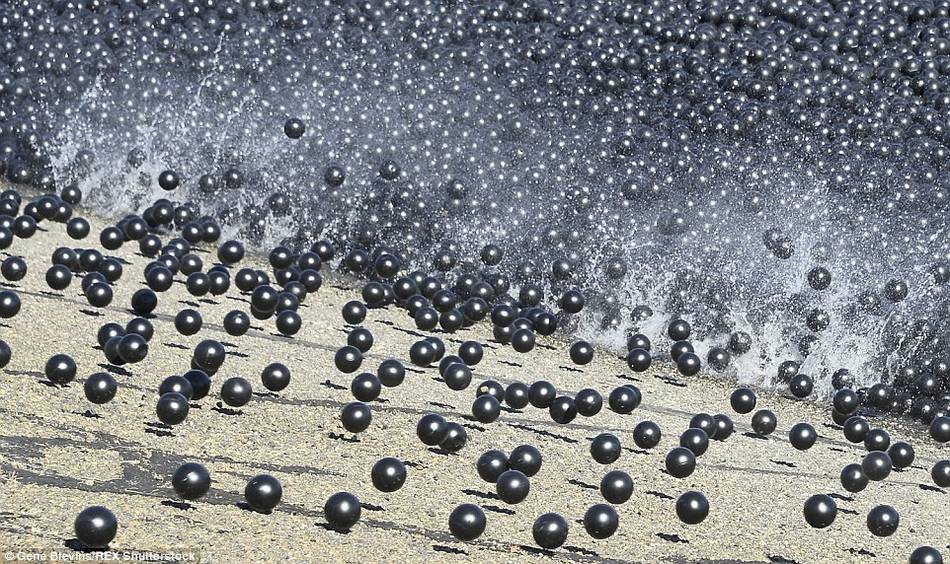 美国抗旱的新方法 水库投放9600万塑料球