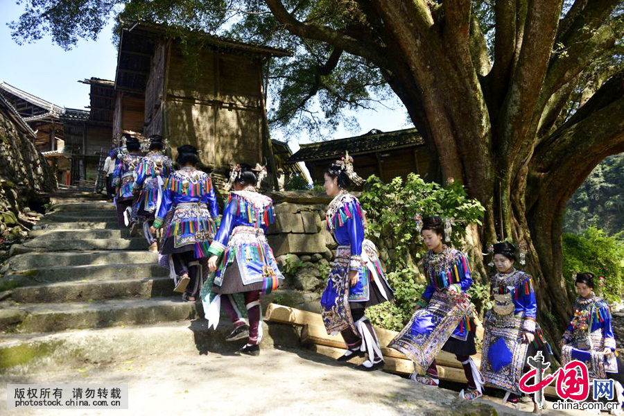 乌公侗寨侗族姑娘在盛装打扮后，成群结队去参加“烧鱼节”。中国网图片库 王炳真摄