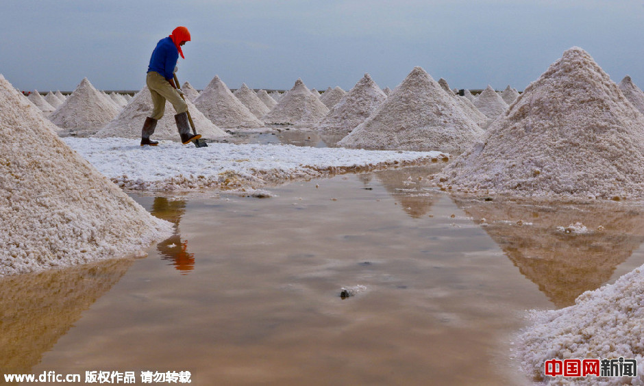 甘肃高台千年盐池原盐开铲
