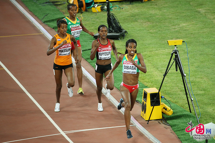 8月25日，在北京国家体育场“鸟巢”进行的2015年国际田联世界田径锦标赛女子1500米决赛中，埃塞俄比亚选手根泽贝·迪巴巴以4分08秒09的成绩夺得冠军。图为迪巴巴在比赛中。 中国网记者 董宁摄影