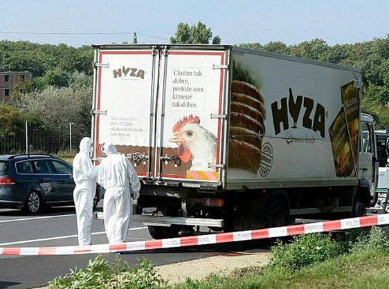 奥地利：货车内发现数十具尸体