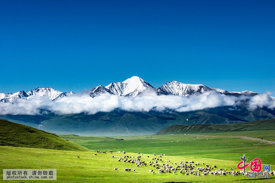  昭蘇縣地處新疆維吾爾自治區西部，隸屬新疆伊犁哈薩克自治州。那裏藍天白雲、牛羊成群、古松參天、野花遍地，處處都是風景，每一處風景都美到令人窒息。中國網圖片庫 祁軍攝