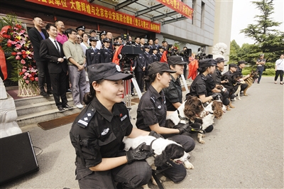 北京:电视剧《警花与警犬》开机