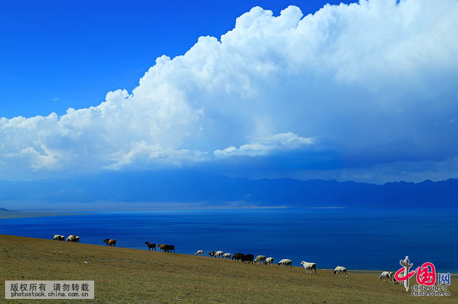 赛里木湖古称“净海”，是新疆海拔最高、面积最大的高山湖。中国网图片库 杨东摄