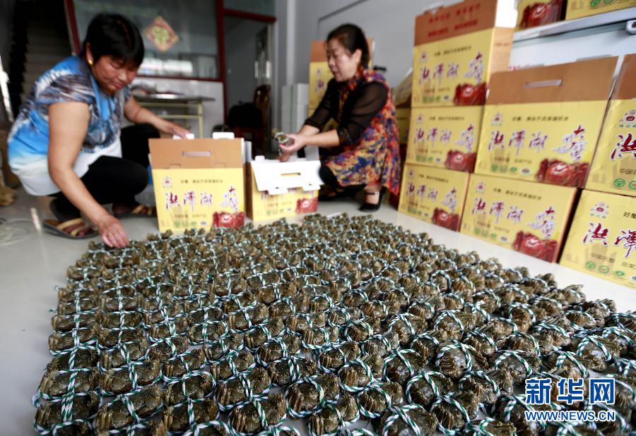 #（农业）（5）江苏洪泽湖大闸蟹开捕上市