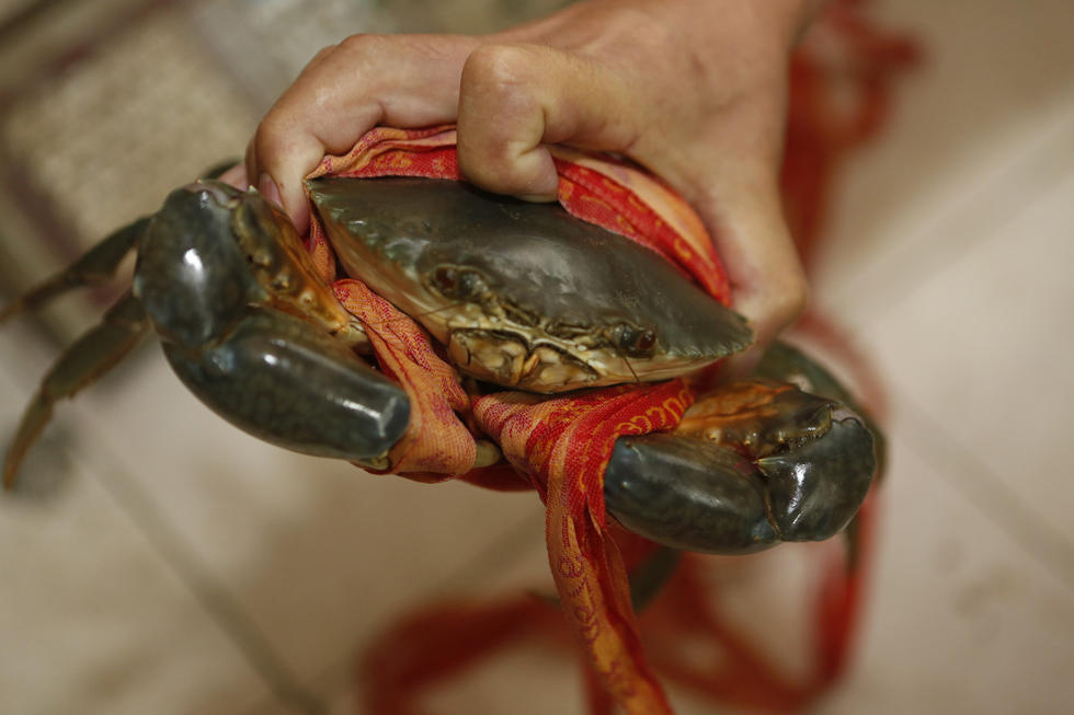 宁波海鲜市场卖青蟹绑31米长绳 吸水占重20%