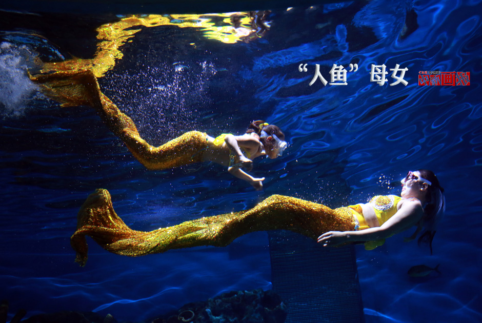 8c89a59109ef17870c681b.jpg