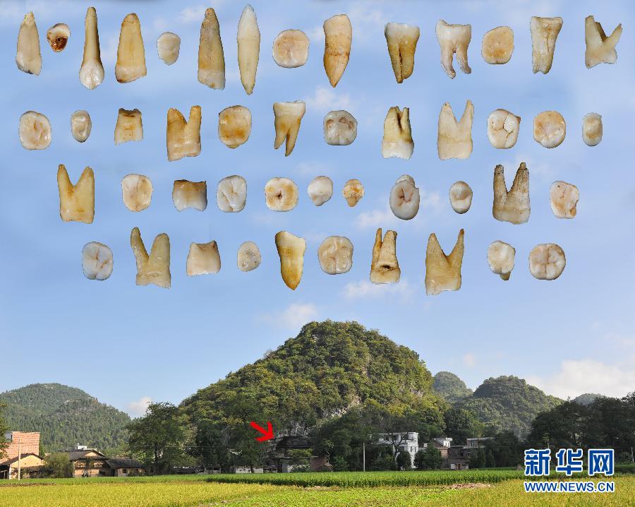 （城鄉熱點）（1）我國科學家發現東亞最早的現代人化石