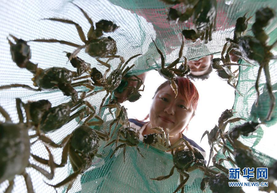 （编辑连线）（3）“好蟹”的中国人