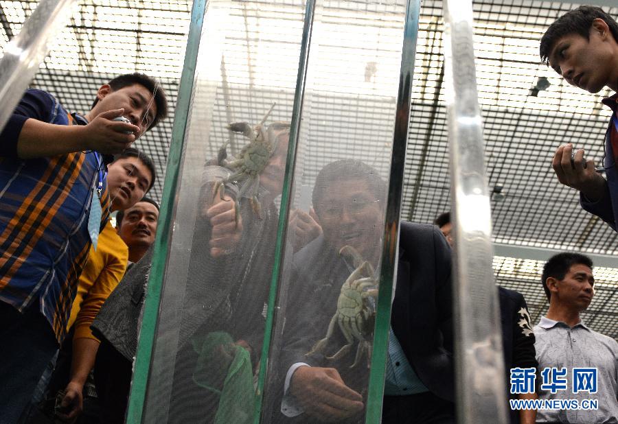 （编辑连线）（15）“好蟹”的中国人