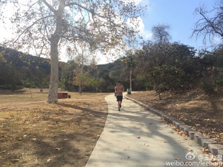 王力宏<em>穿</em>短袖<em>短裤</em>户外<em>跑步</em> 网友:我要去偶遇你