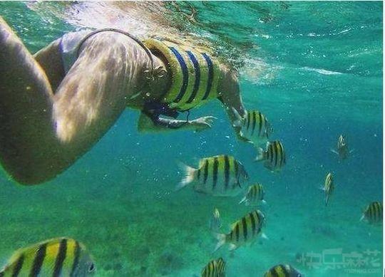 师父有妖怪:女生与隔离墩撞衫成精 盘点奇葩搞笑撞衫囧图