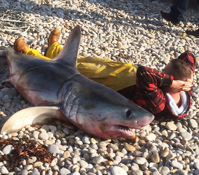 英渔民抓到近两米长大鲨鱼[组图]