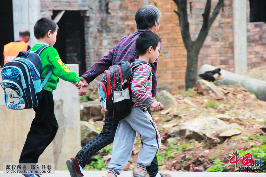 一個普通的上學日，65歲孫秀青緊緊拉著孫兒的手送他們過馬路。中國網圖片庫 曾勇攝
