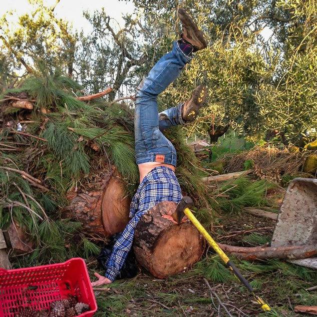 摄影师摆拍逗趣“摔跤”场景