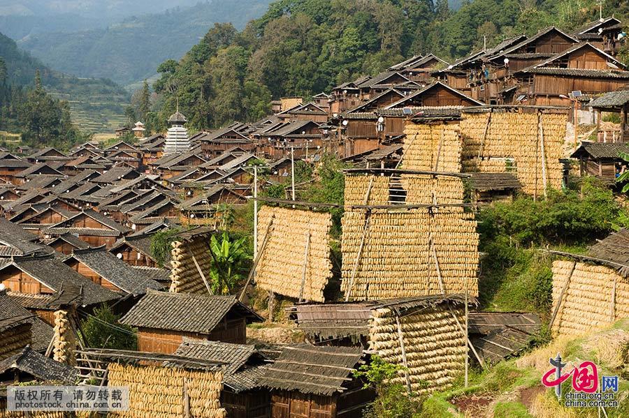 占里侗寨建在山坡旁的禾晾。 中国网图片库 尹忠 摄 