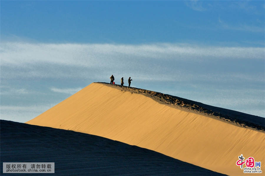 2015年10月2日，内蒙阿拉善盟，额济纳八大桥沙漠驼影。中国网图片库 何东平 摄