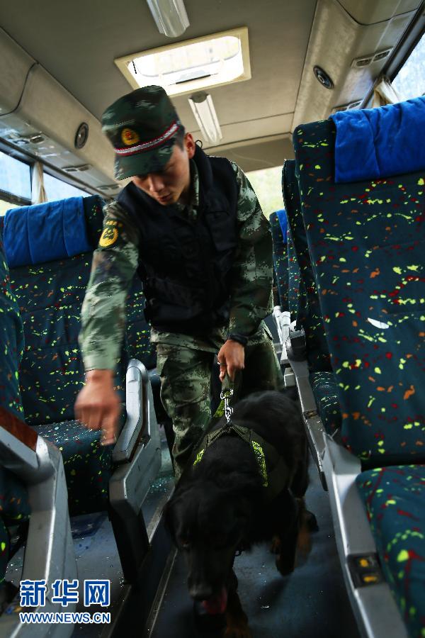 （軍事）（1）安徽：武警總隊開展排爆實戰演練