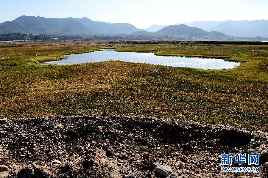 （生態）（2）山東旱情發展 水利工程蓄水總量較歷年同期少蓄40%