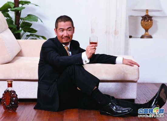 收入证明_大陆明星收入(3)