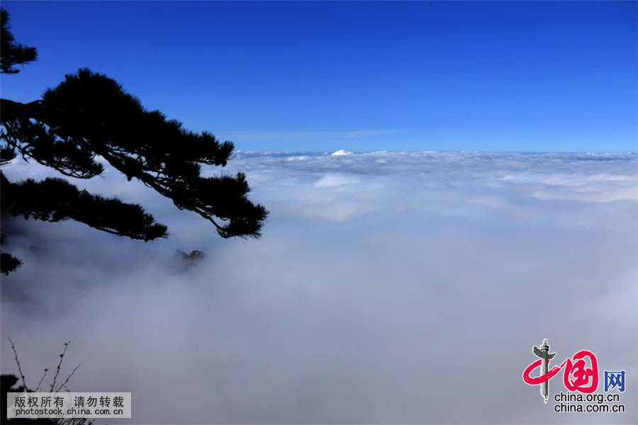 10月27日，在黄山风景区拍摄的云海美景。当日，安徽黄山风景区雨后放晴，出现了壮观迷人的云海。中国网图片库 施广德 摄
