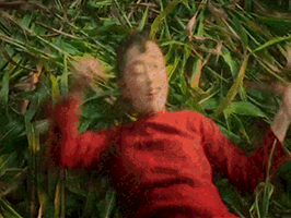 266_200 gif 动态图 动图