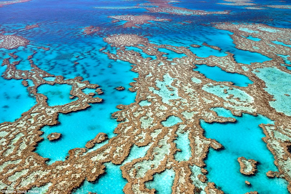 澳大利亞：大堡礁（Great Barrier Reef）<br />這可能是世界上綿延最長的珊瑚礁，居住著1500來種魚類和175來種鳥類，然而珊瑚礁正在遭遇破壞，科學家稱可能會在2050年徹底消失。