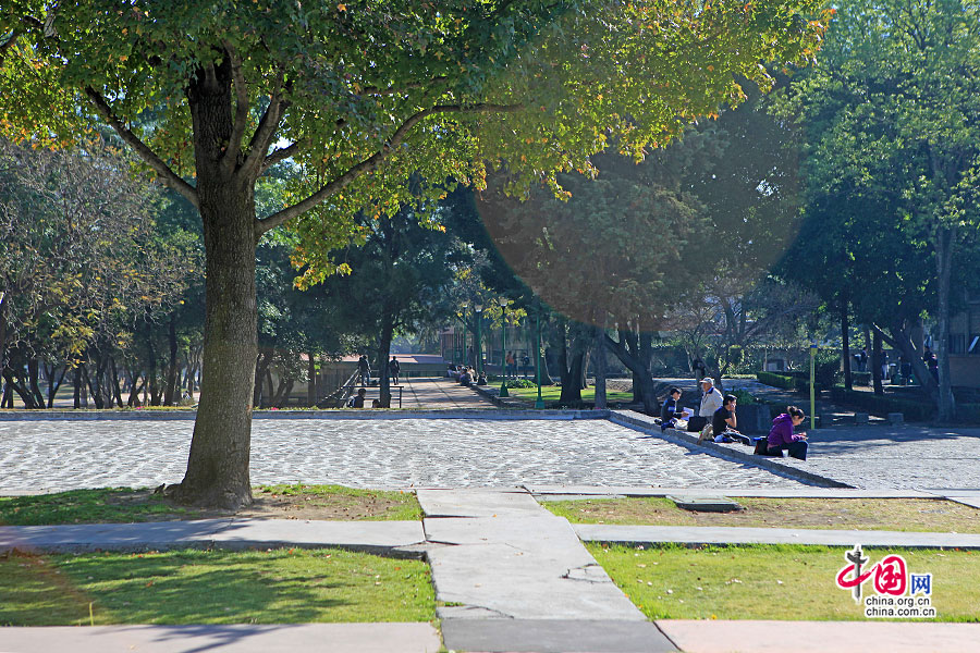 墨西哥国立自治大学有大片空地供人休息
