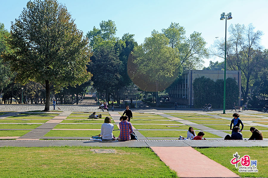 墨西哥国立自治大学内草地上的学生们