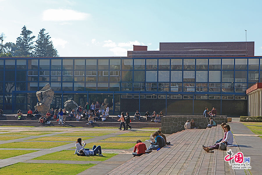 中央图书馆前有一大片草坪供学生休憩