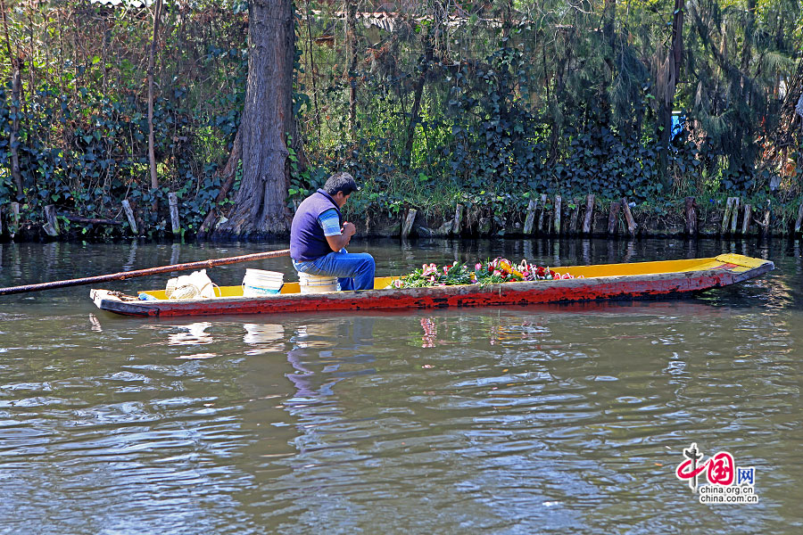 霍奇米尔科运河上运送鲜花的小船