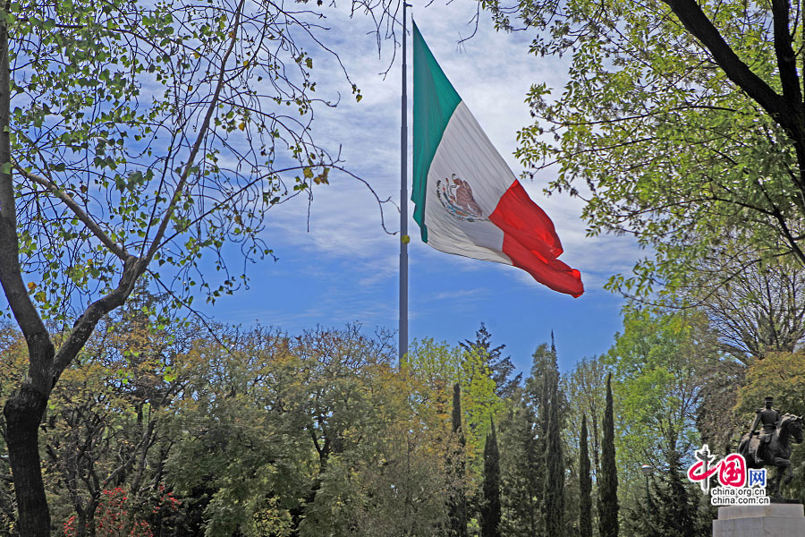 林间飘起的墨西哥巨型国旗