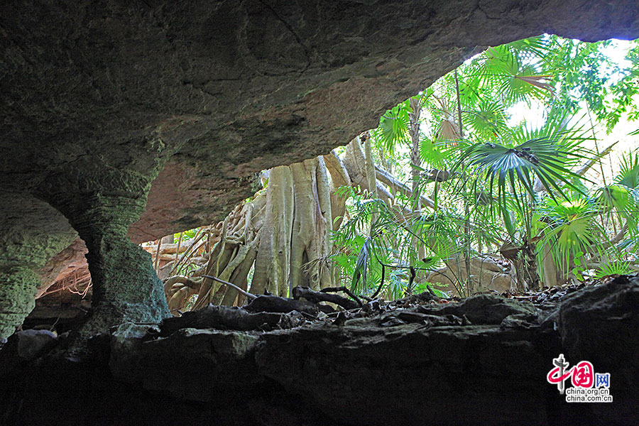 小径通往石洞内，眺见外面的森林