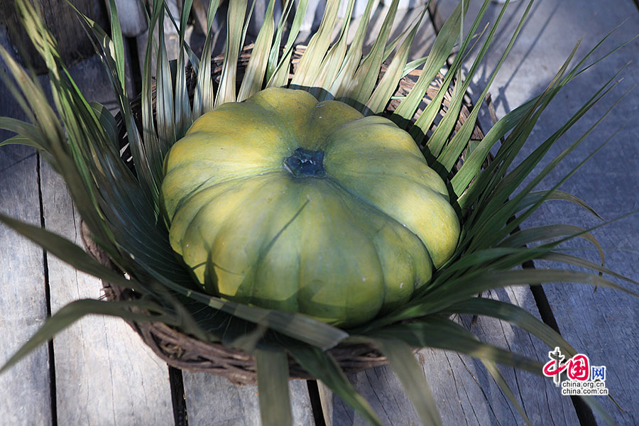玛雅土著的传统蔬菜之扁南瓜