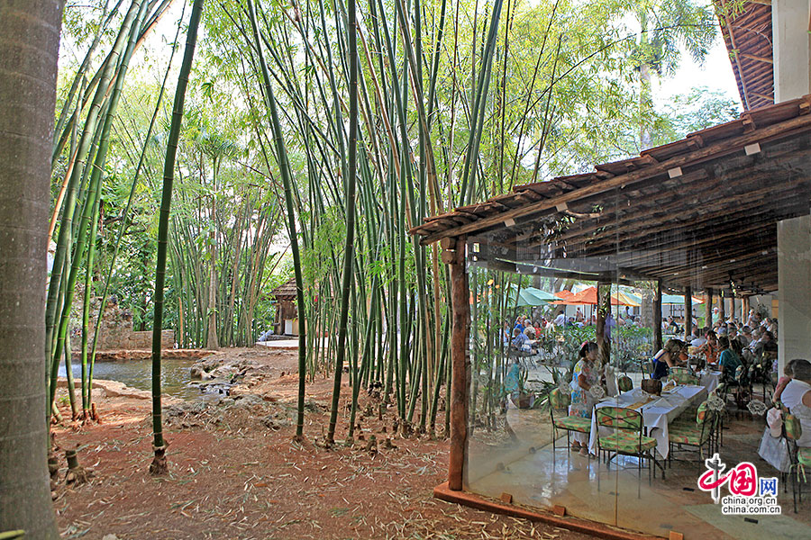 竹林裏的餐廳