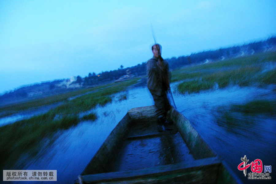 2012年10月的一天，天剛濛濛亮，臧爾軍就撐船入海查看當天鳥類棲息情況。中國網圖片庫 楊文斌攝