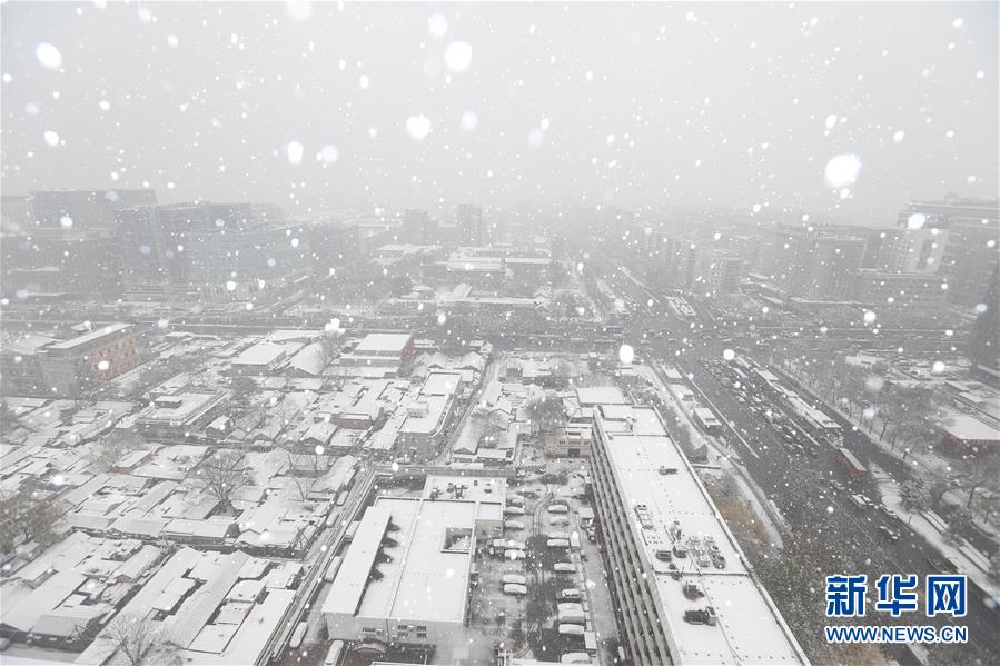 （生態）（1）北京：“小雪”節氣雪不小