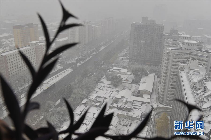 （晚報）（2）北京：“小雪”節氣雪不小