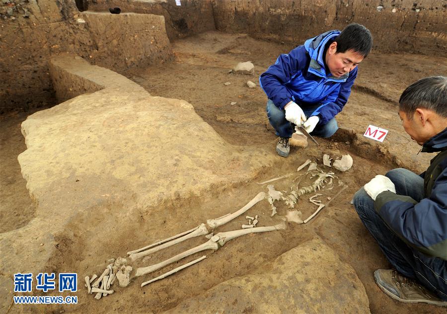（文化）（6）考古确认陕西龙岗寺遗址100万年前就有人类活动 